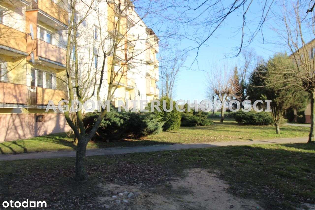 śliczne 65m kw - Chełmica Cukrownia-17