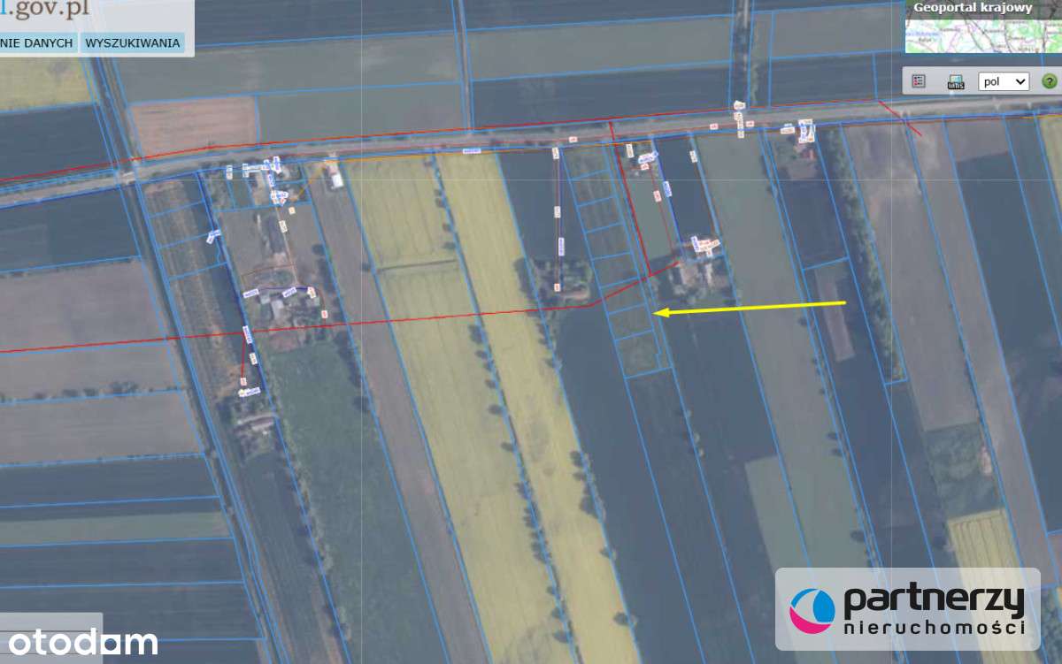 Południowa | Brak sąsiadów | Mpzp | Prostokątna - Pełny obrazek: 4/11