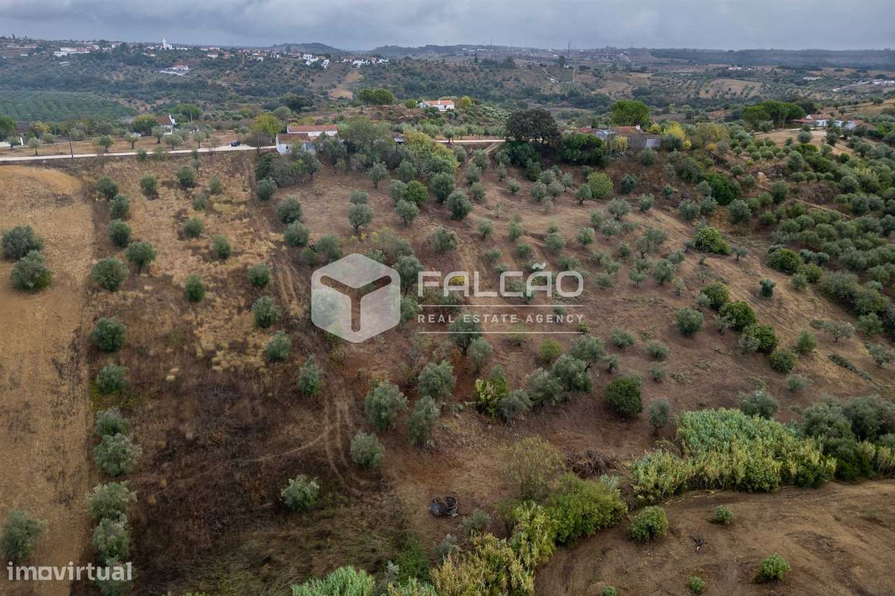 Moradia para Restaurar T2+2 Venda em Casével e Vaqueiros,Santarém-6