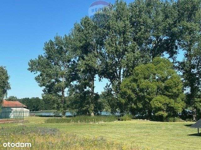 Duże działki blisko Jeziora Margonin - Pełny obrazek: 5/9