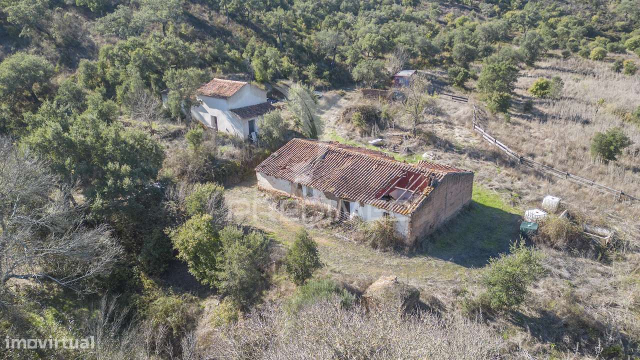 Quinta de 11 hectares com uma ribeira em Boavista dos Pinheiros - Grande imagem: 5/30