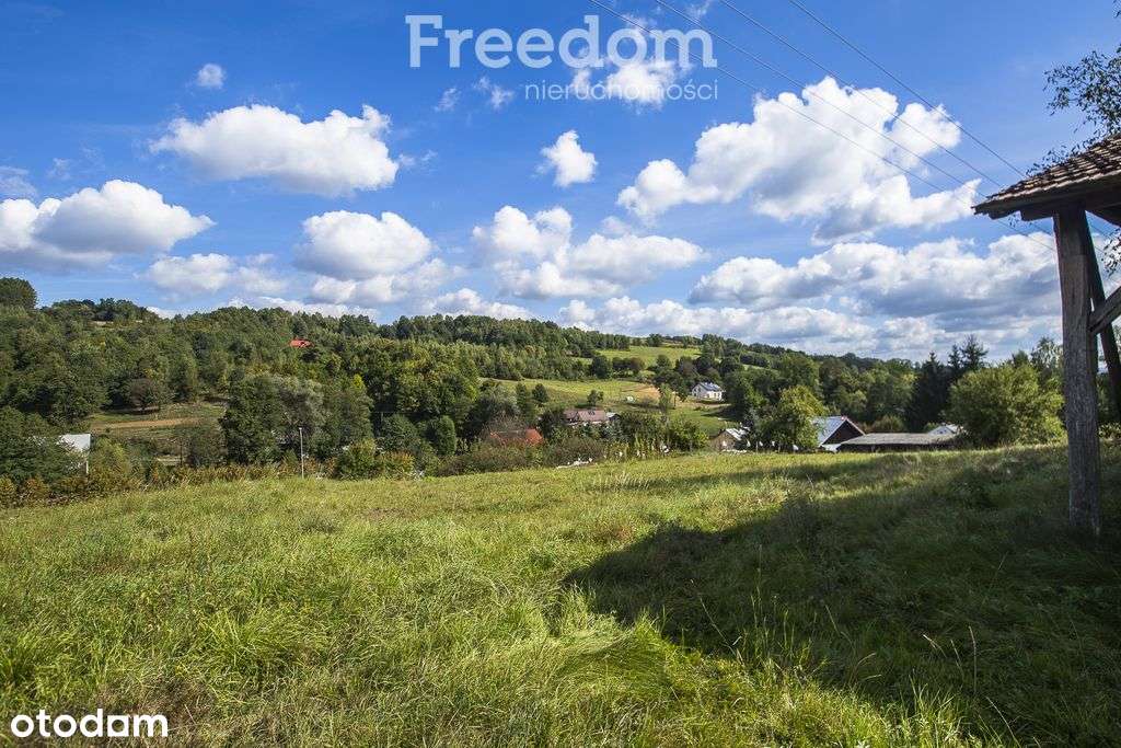 Działka budowlana z widokiem | 41 ar w Cieszynie-4