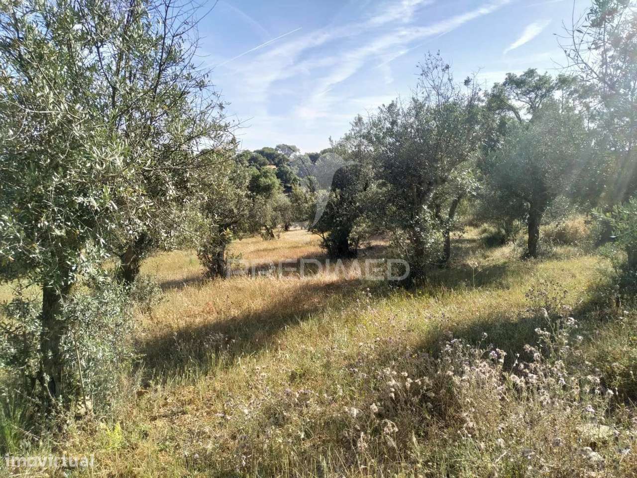 Terreno agrícola em Alegrete - Grande imagem: 5/20