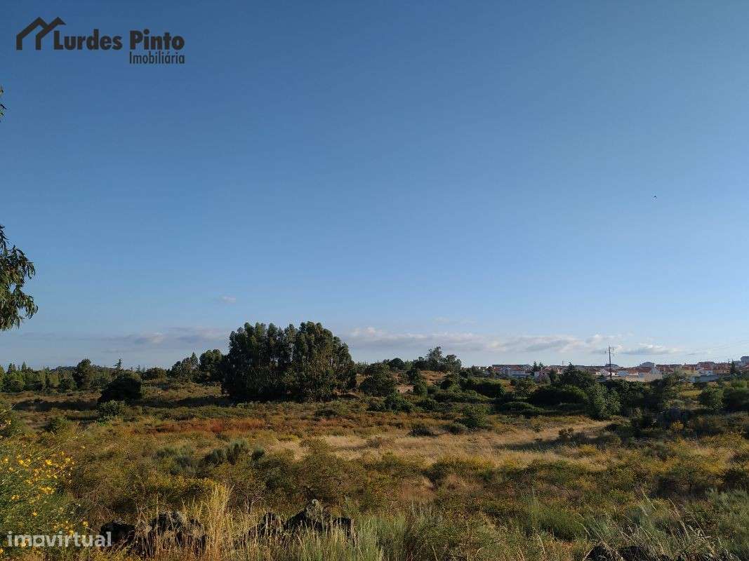 Quinta  em Castelo Branco - Grande imagem: 3/17