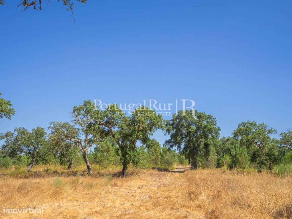 Quinta de 20ha com projeto para Turismo Rural a 1h de Lisboa-23