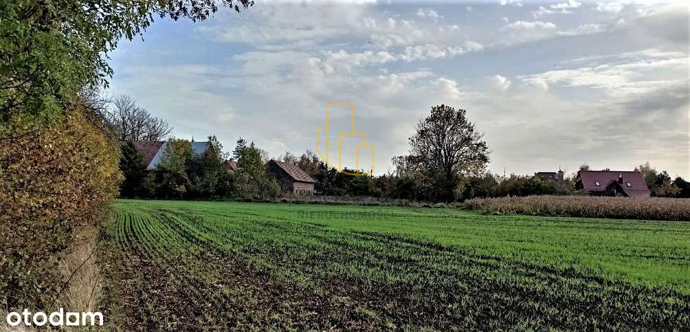 Mnichowice, działka budowlana 1273 m2 - Pełny obrazek: 4/5