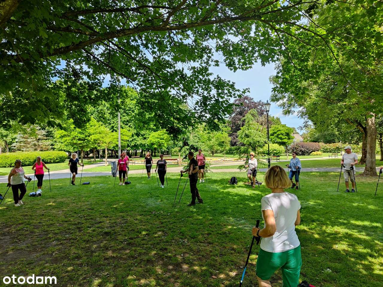 1-pokojowe mieszkanie + piwnica-11