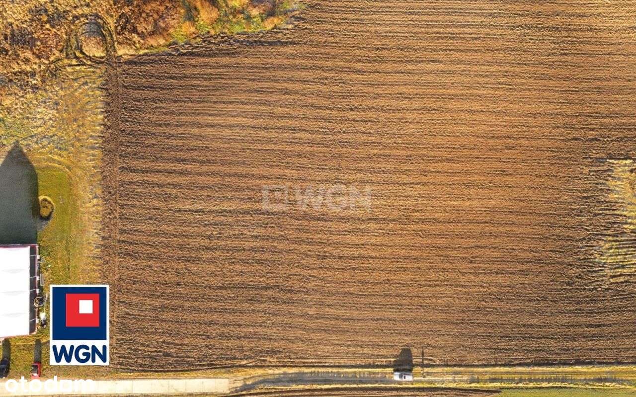 Działka budowlana, 5400m2, Łosino - Pełny obrazek: 5/17