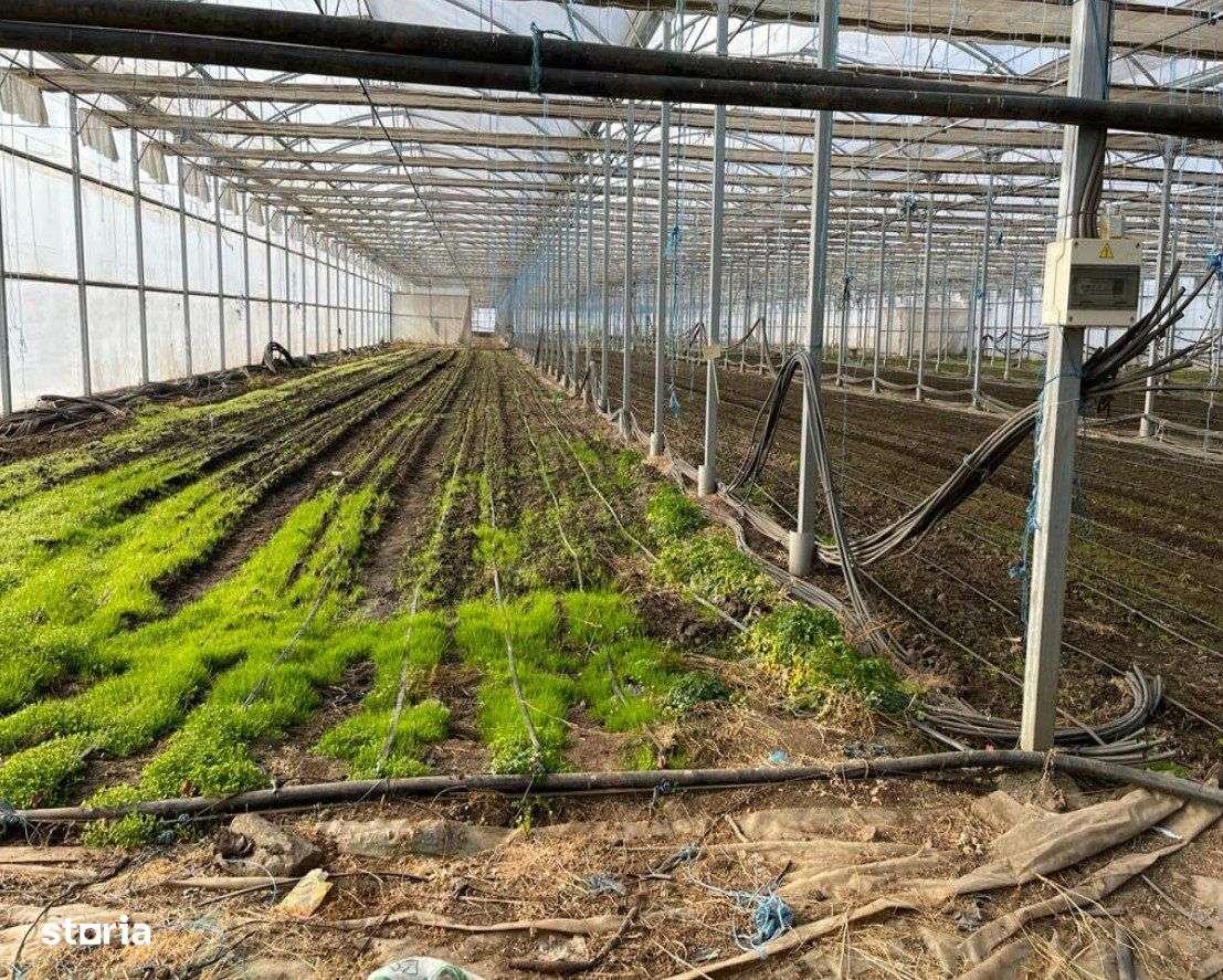 Sera de legume 10.094 mp + Hala 876 mp + teren 20.000 mp - Imagine principală: 5/9