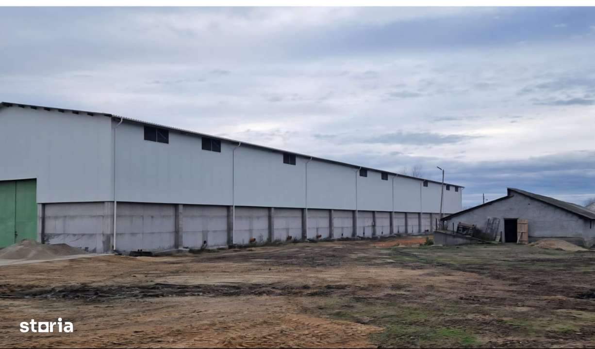 Proprietate agroindustriala, hala 1590 mp, teren 28000 mp, panouri 398 - Imagine principală: 3/19