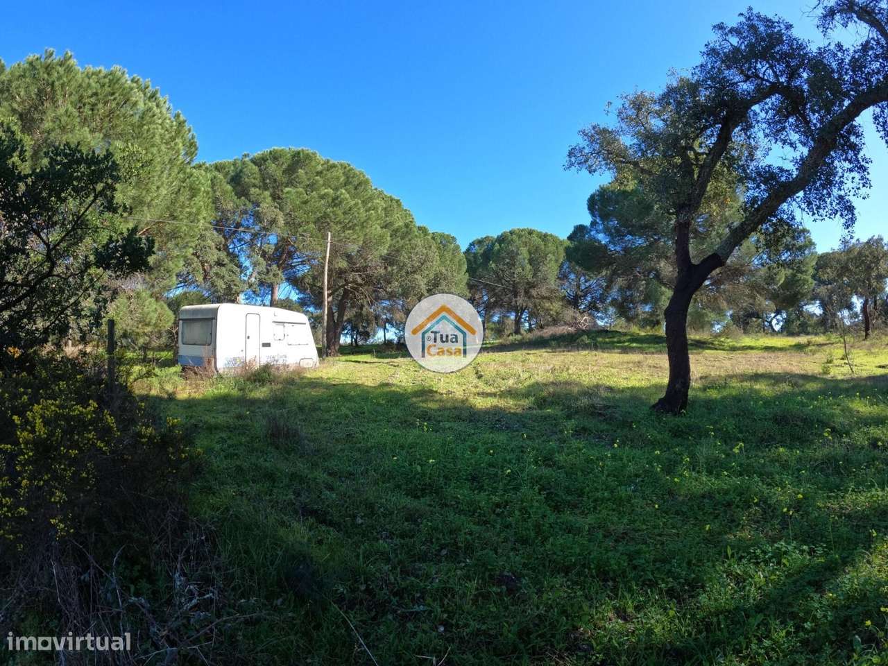 Terreno Rústico de 1,75 ha com Montado de Sobreiros – Oportunidade no - Grande imagem: 3/16