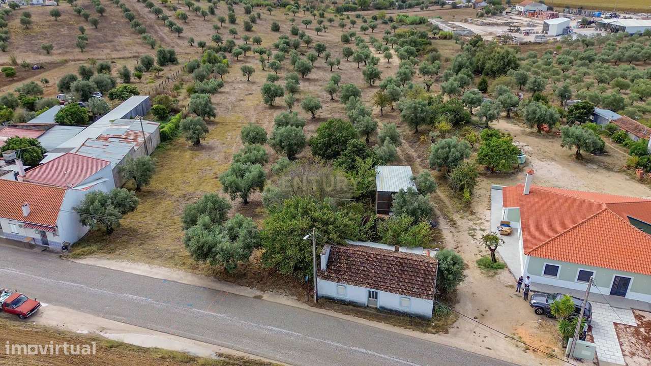 Moradia C/ Terreno Misto de Olival-7
