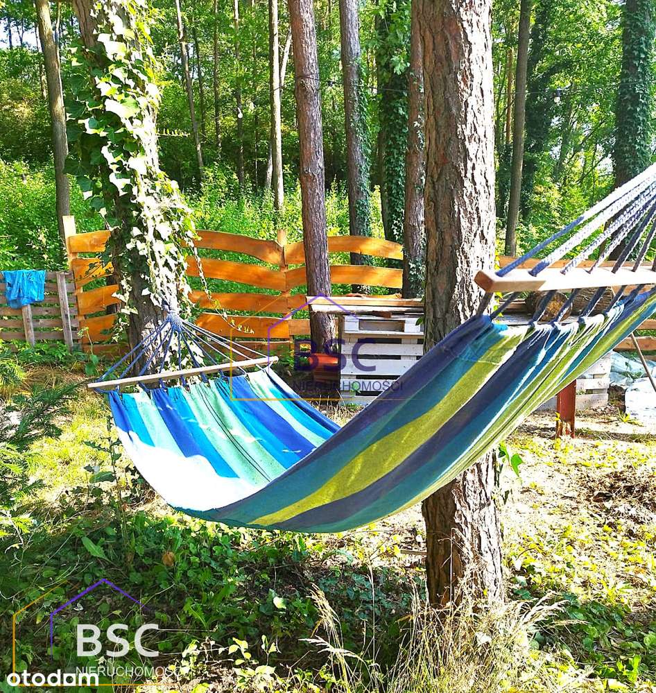 Bajkowy widok na jezioro w 1 linii brzegowej-8