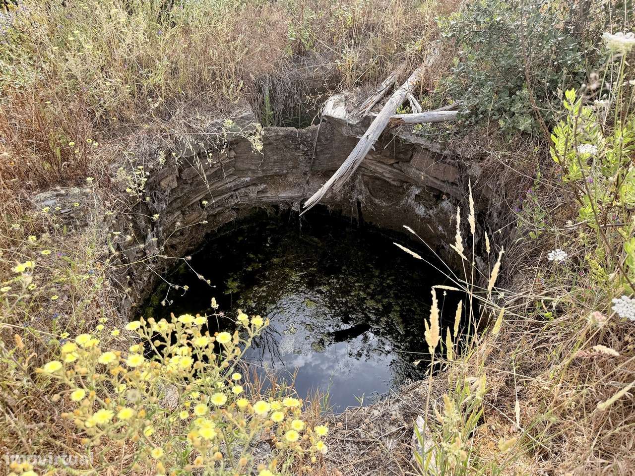 Quinta  Venda em Sarzedas,Castelo Branco-16