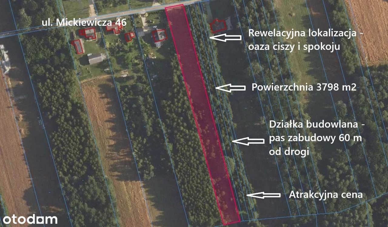 Atrakcyjna działka budowlana w Wilkowiecku pow. 3798 m2 OKAZJA - Pełny obrazek: 2/9