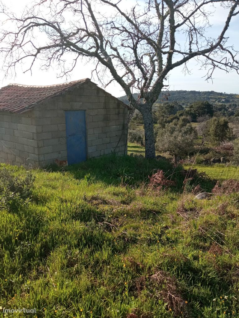 Terreno Rústico de 12000m2 em Aranhas