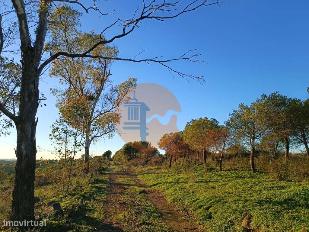 TERRENO COM 145.360 M2 - COM LAGO - POSSIBILIDADE DE CONSTRUÇÃO - T... - Grande imagem: 5/60