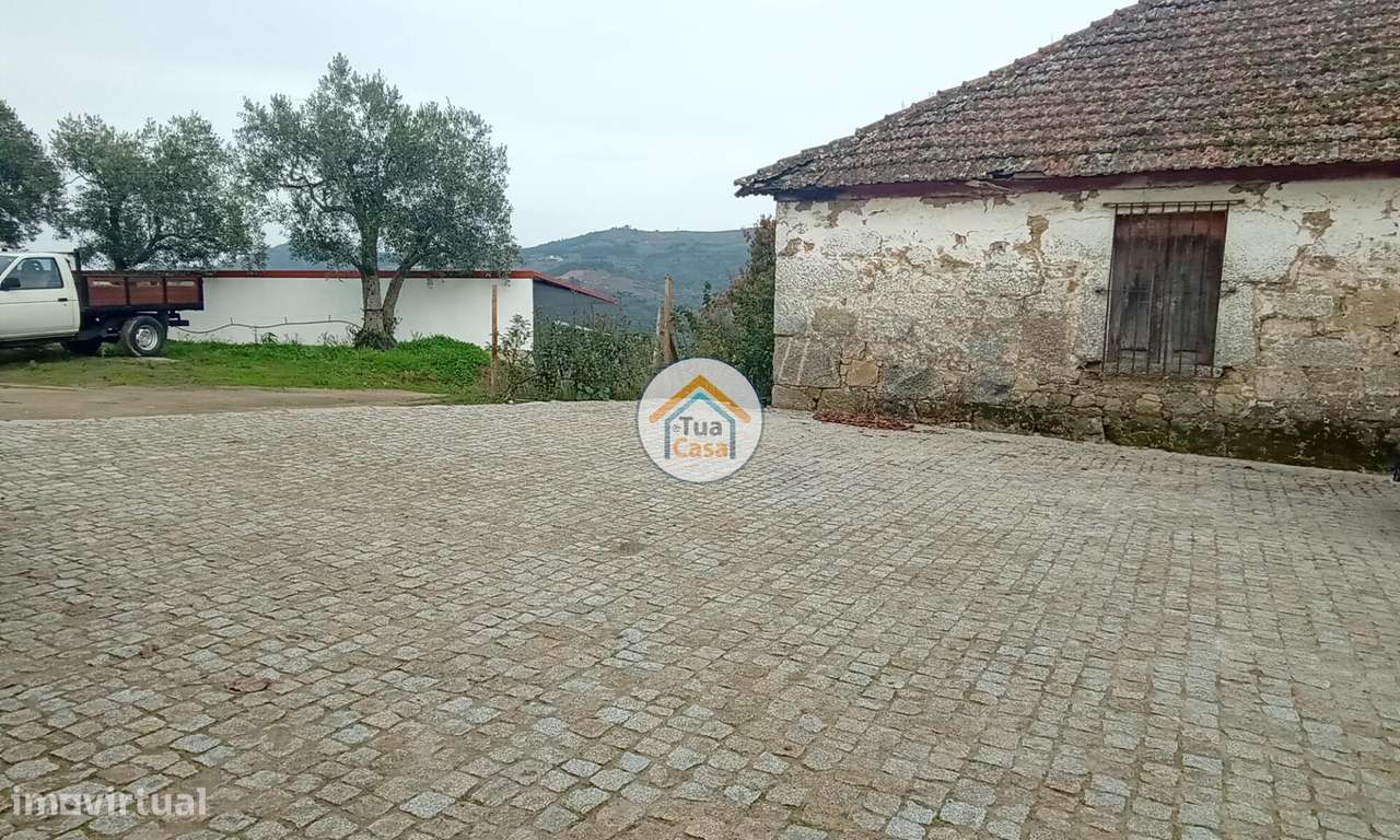Quinta com 16 Ha em Lamego, Douro - Grande imagem: 5/44