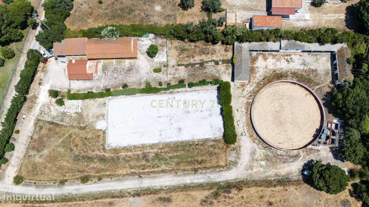 Quinta Equestre a 45 minutos de Lisboa-0