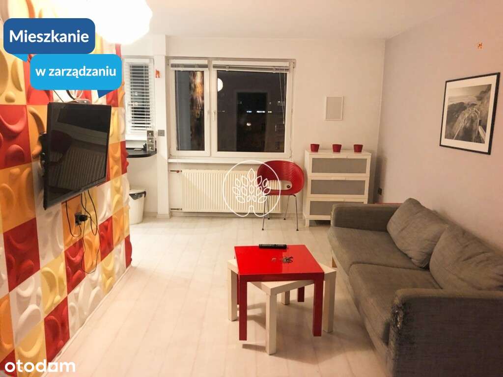 Przytulne dwupokojowe mieszkanie!