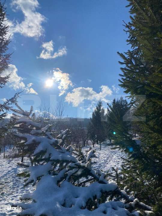 Teren intravila de vanzare, 1.100 mp, in Bistrita, pe strada Drumul Du - Imagine principală: 2/12