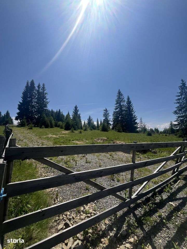 Teren intravilan 5700mp, zona Marisel - Imagine principală: 5/6