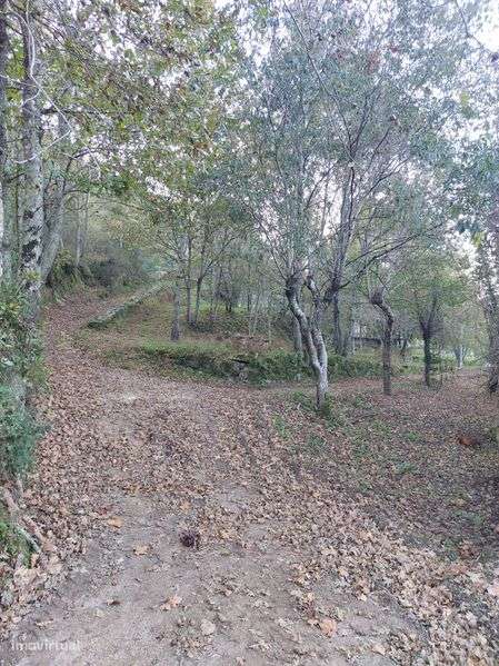 Vende-se Quinta em Soalhães | Aluga-se para eventos - Grande imagem: 4/12