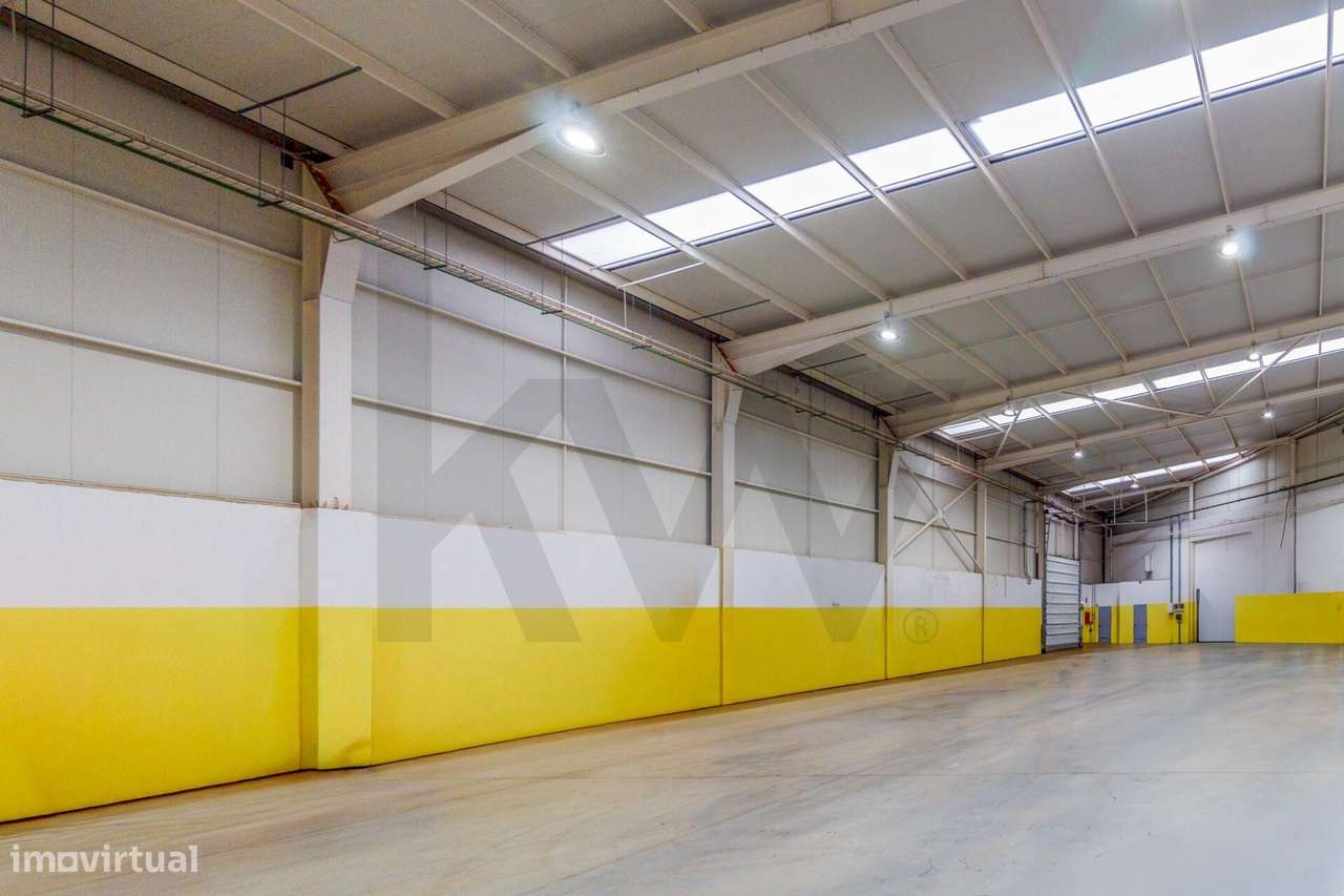 Magnifico, Armazém com 1275m2  P. de Brandão, Sta. M. Feira-4