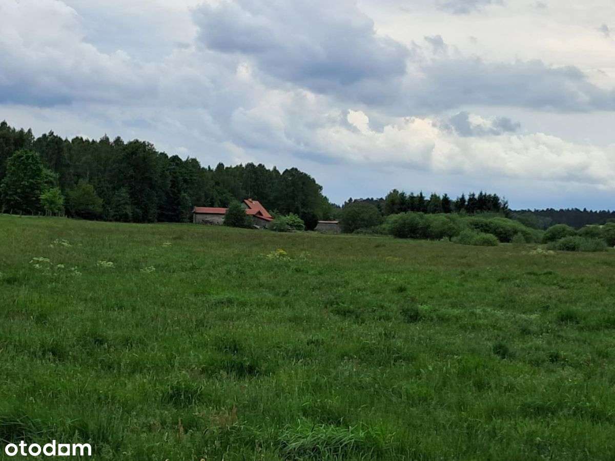 Działka pod rekreację i lokatę-5