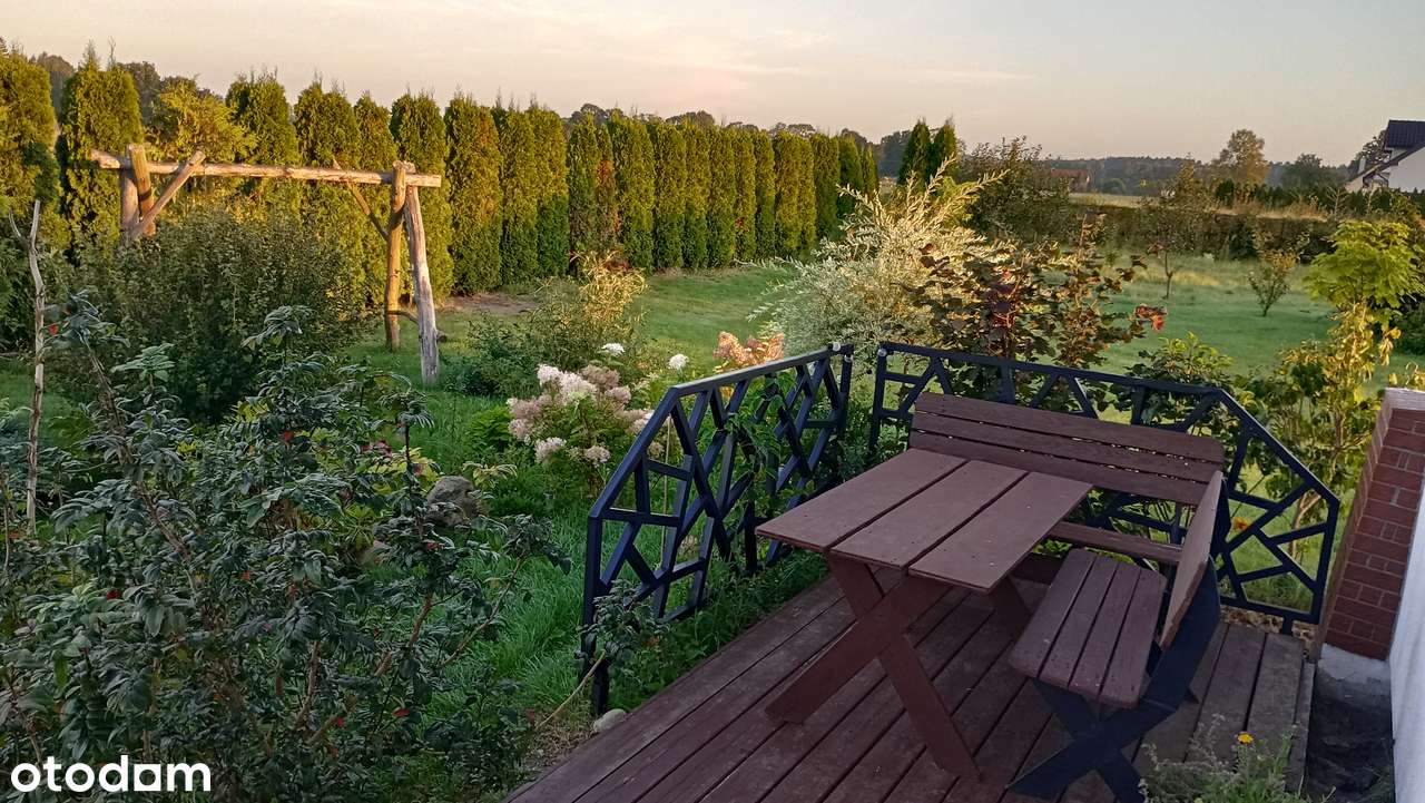 Bezkosztowy dom 3km od Nidzicy/ 26arów–cisza, natura, bez pośredników - Pełny obrazek: 4/20