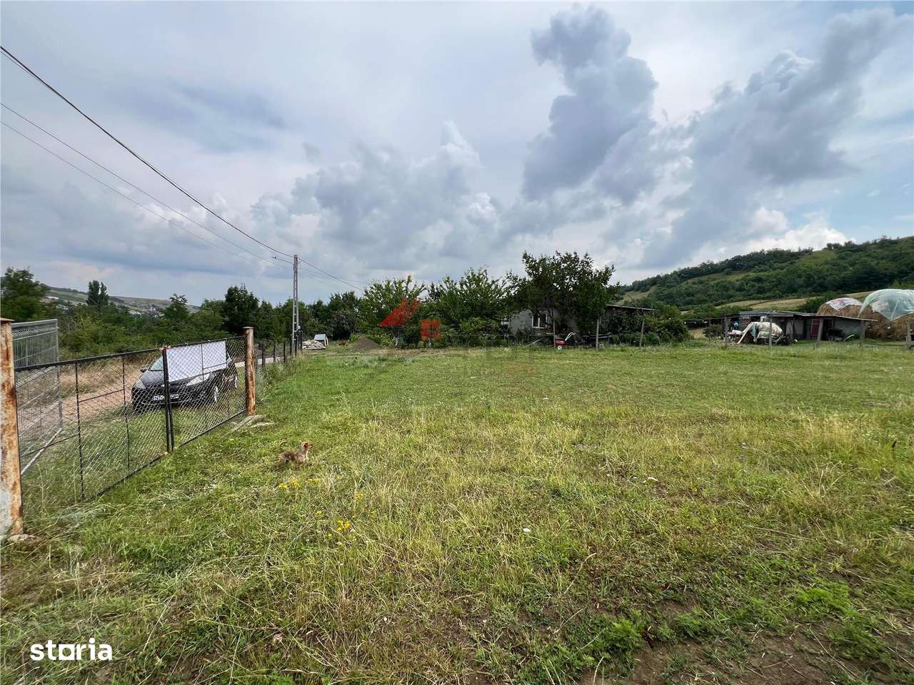 Teren Tomesti 3750MP - Imagine principală: 4/8