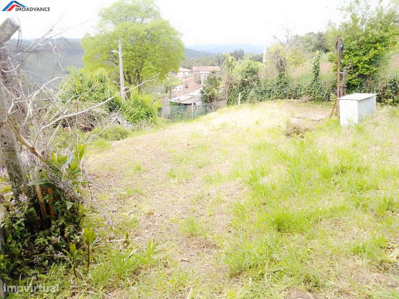 Terreno com Ruína a 25 minutos de Coimbra - Grande imagem: 4/7