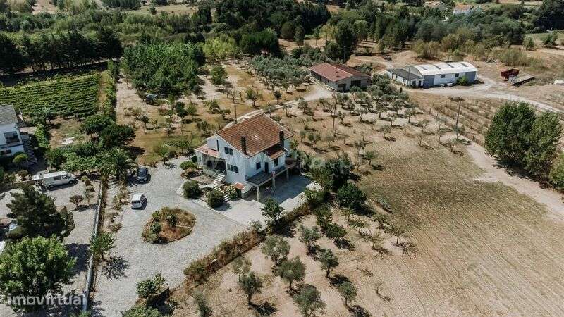 Moradia Isolada T4 / Gouveia, Melo e Nabais - Grande imagem: 3/20