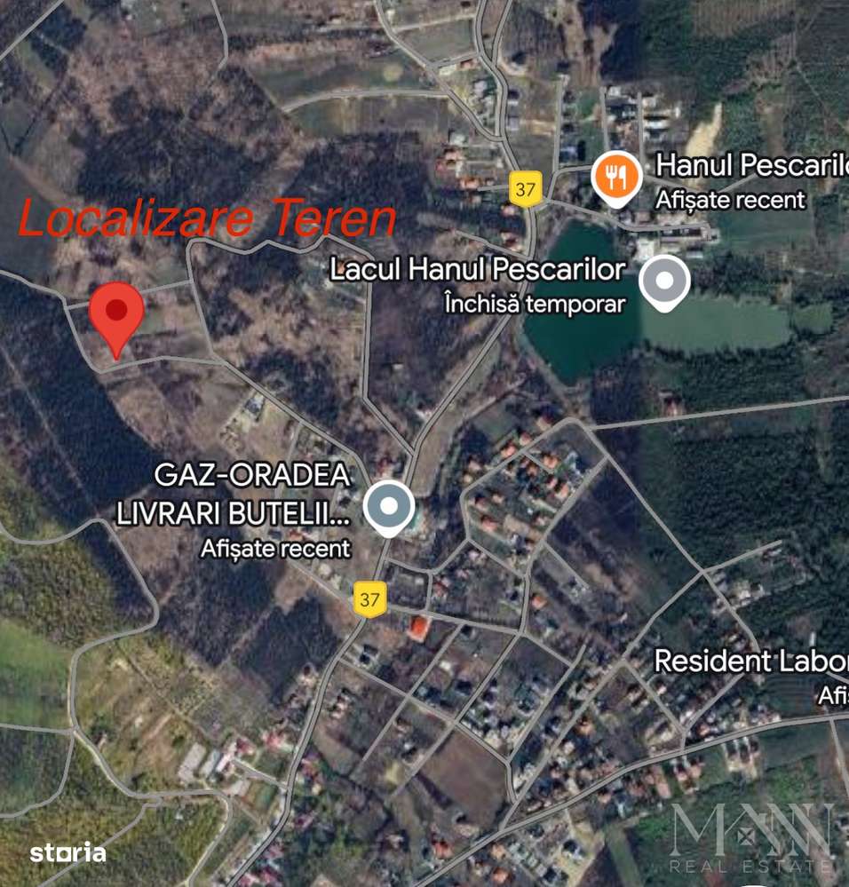 Teren - investiție | 7 parcele | Saldabagiu de Munte/ Hanul Pescarilor - Imagine principală: 5/12