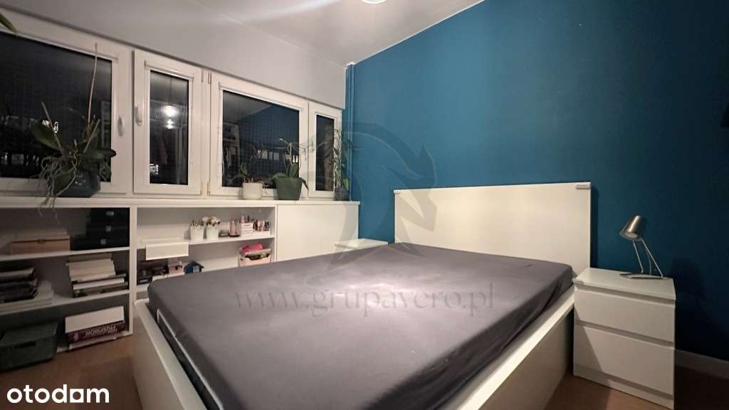 Mieszkanie, w którym kot jest prezesem-14