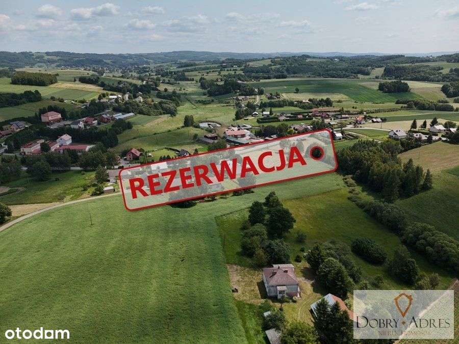 Dom z budynkiem gospodarczym działka 2,5ha - Pełny obrazek: 4/19