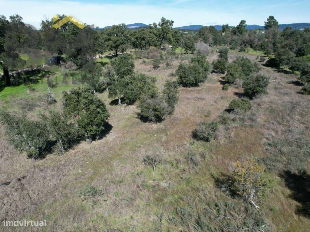 Terreno de 5,3 Hectares na Aldeia de Águas - Penamacor - Grande imagem: 5/8