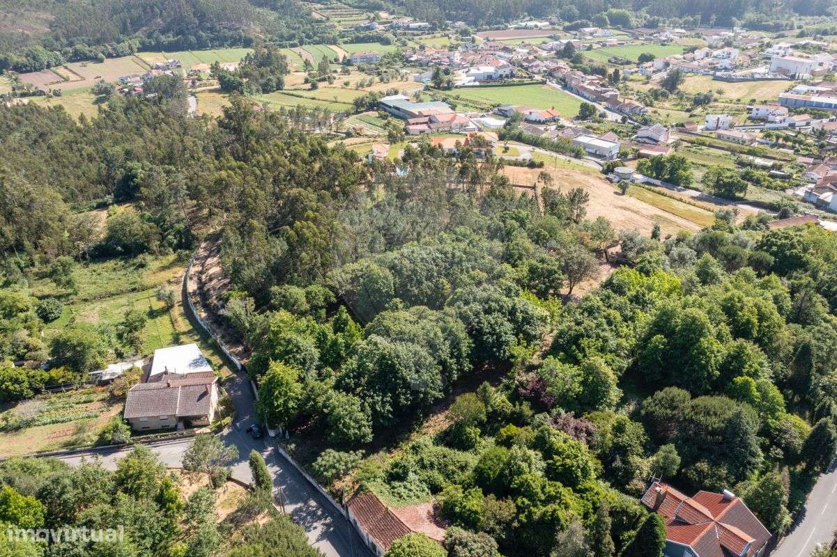 Terreno  para venda - Grande imagem: 5/14