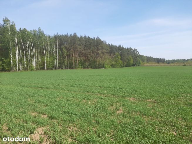 Działka Rolna Suchodół gmina Tarczyn