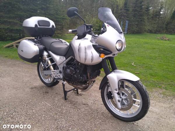 Triumph Tiger - 1