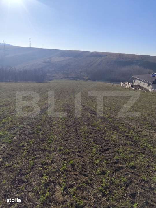 Teren 5000 mp Rediu, oportunitate investitie - Imagine principală: 2/3