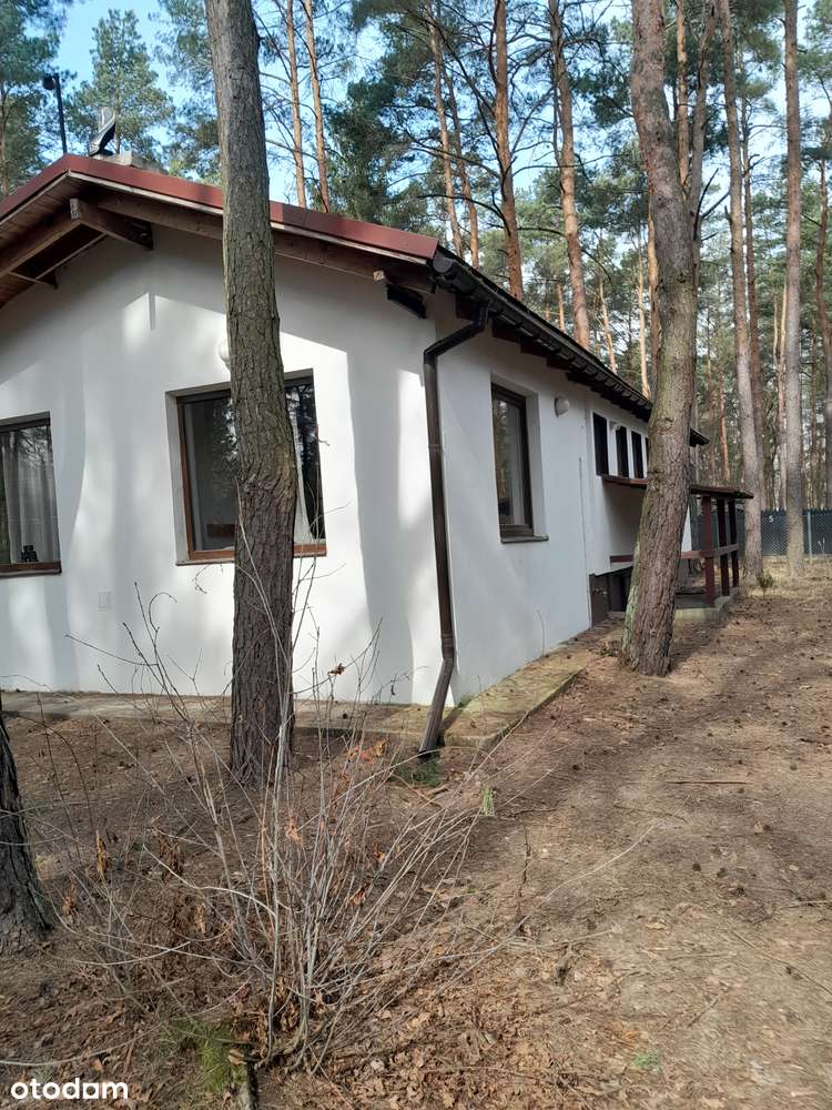 Łacha - dom 80m2 na działce 1400m2-1