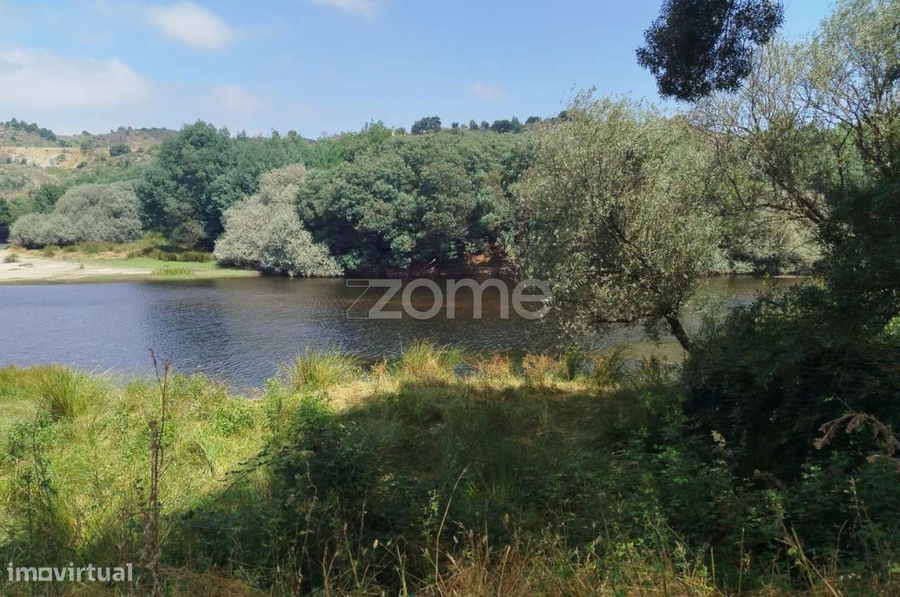 TERRENO COM FRENTE DE RIO - MONDEGO - Grande imagem: 4/18