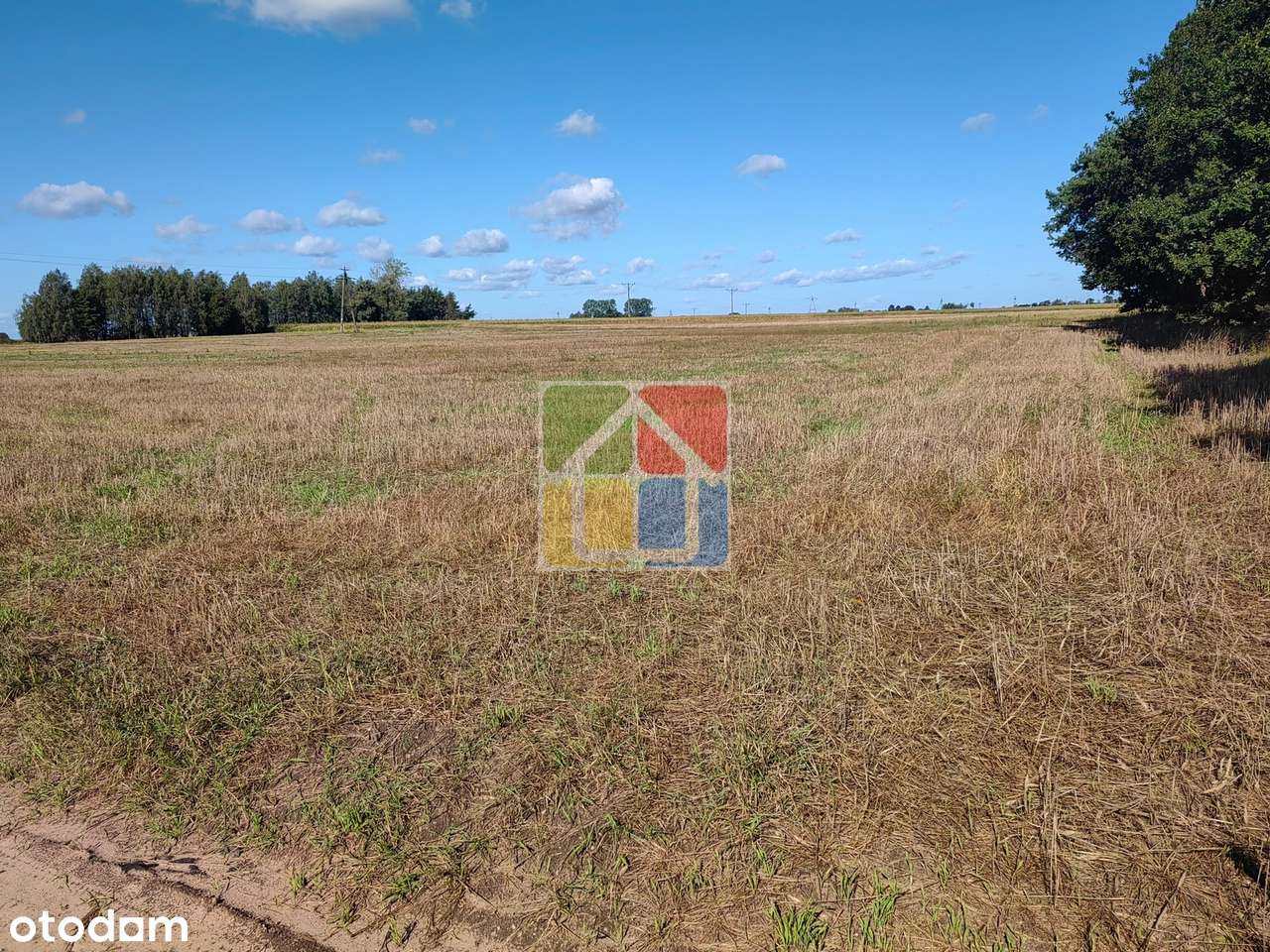 Duża działka rolno-budowlana w okolicy Gostynina-3