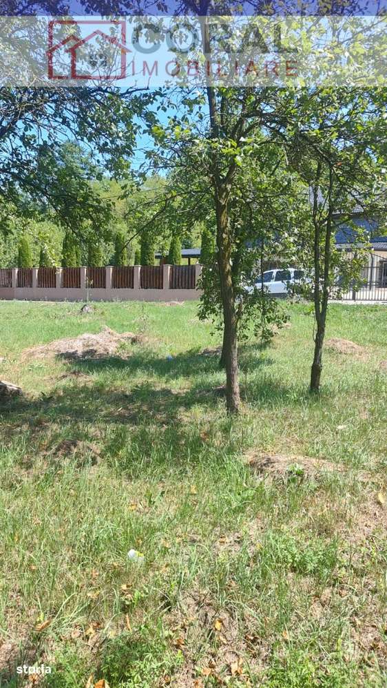 De vanzare teren intravilan Barsau - Imagine principală: 3/5