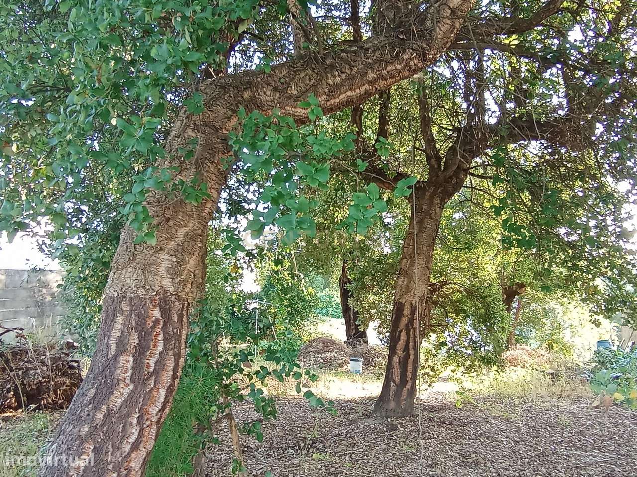 Terreno Urbano para Construção – Próximo do Mosteiro da Batalha - Grande imagem: 2/4