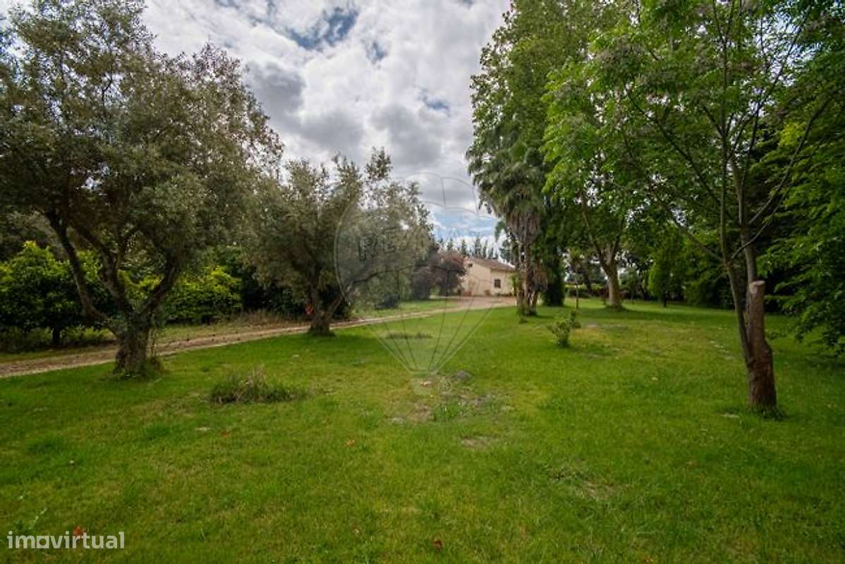 Quinta T2 para venda - Grande imagem: 2/29