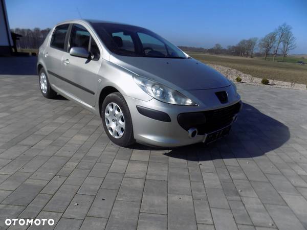 Peugeot 307 1.6 Trendy - 1