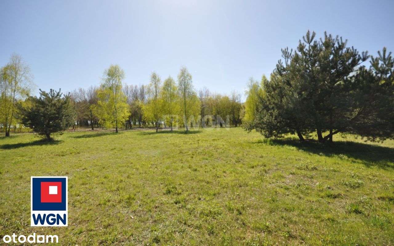 Działka, 900 m², Kodrąb-0