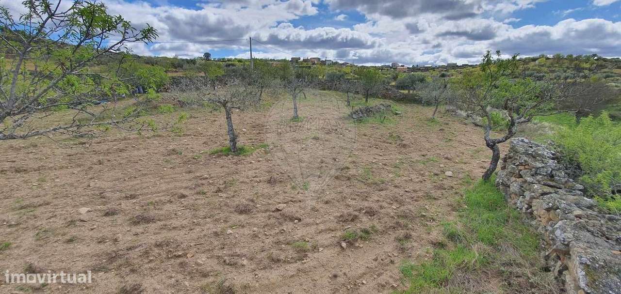 Terreno  para venda - Grande imagem: 5/7